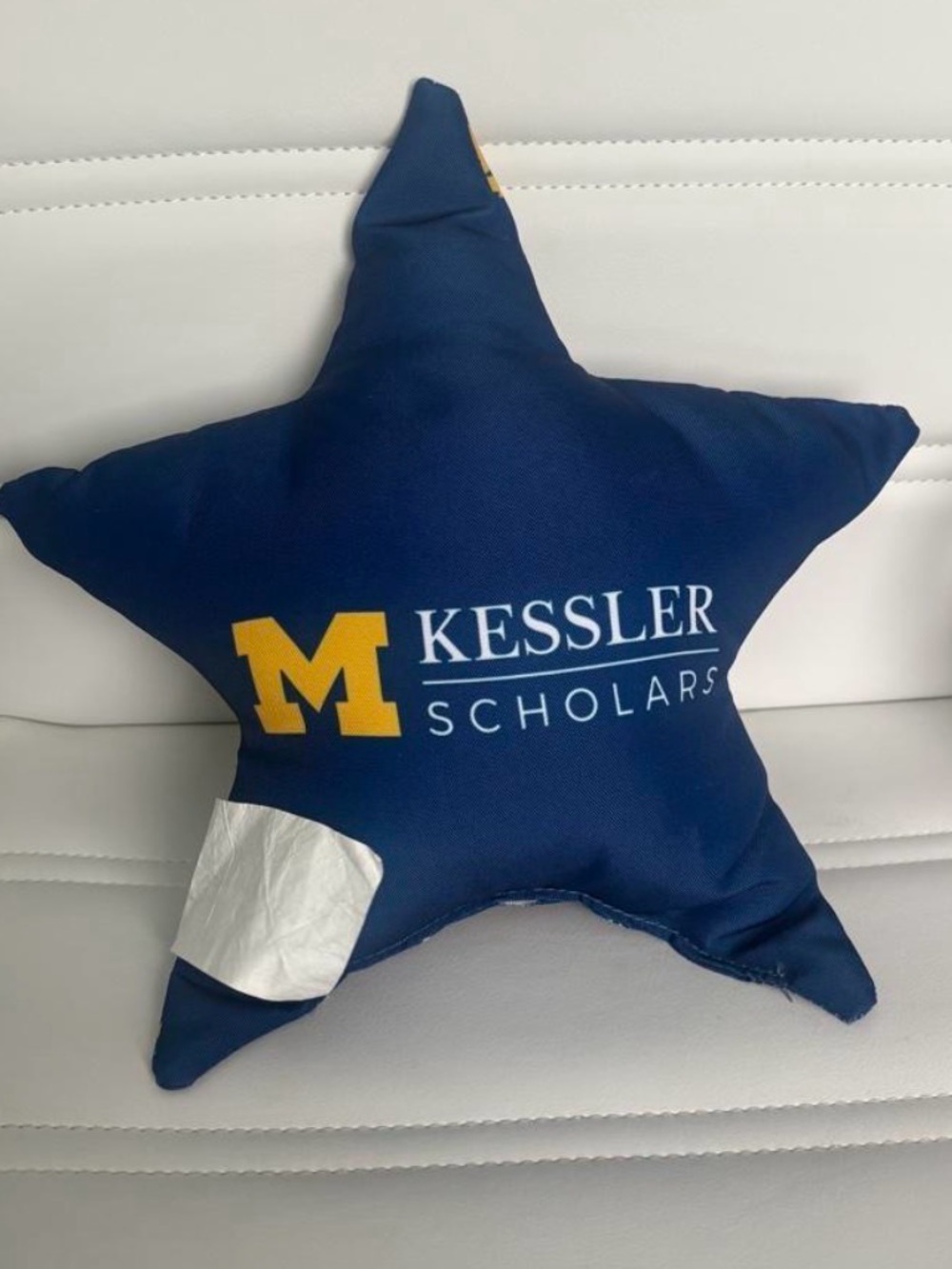 UofM Pillow